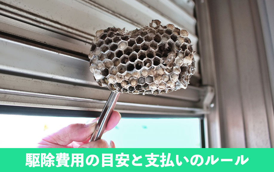 駆除費用の目安と支払いのルール