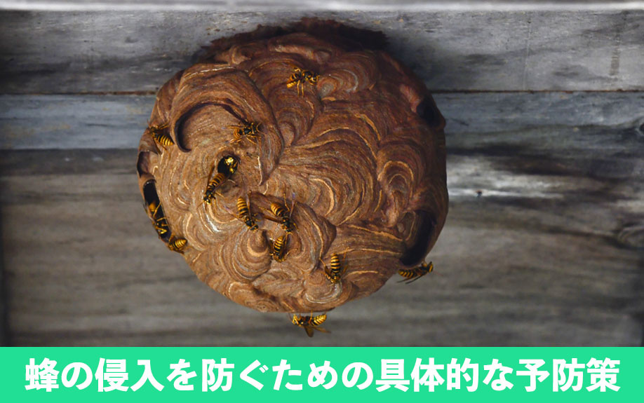 蜂の侵入を防ぐための具体的な予防策