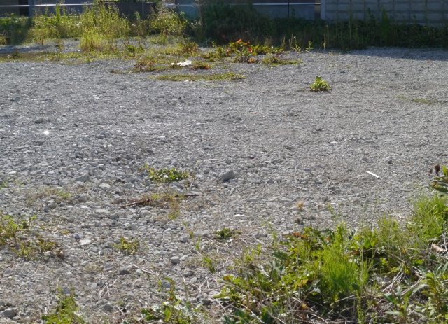 土地売却で使える税金控除とは？種類や損失が出たときの注意点についてご紹介