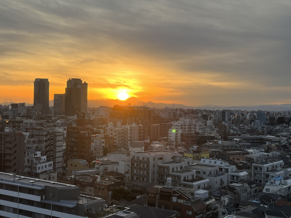 西新宿は住みやすい？高層ビル街なのに意外と静か｜夜の暮らしまで想像して選ぶ｜blue bloodedの画像