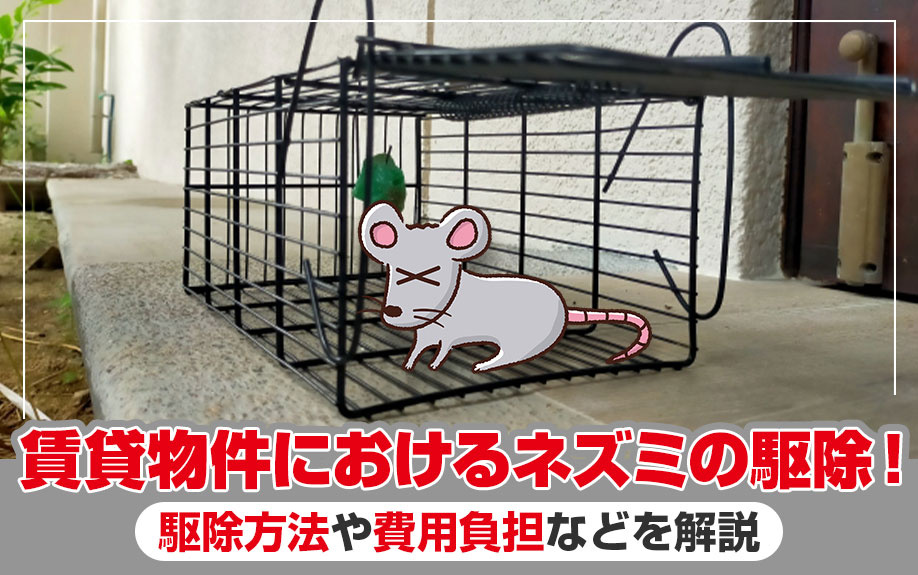 賃貸物件におけるネズミの駆除！駆除方法や費用負担などを解説の画像