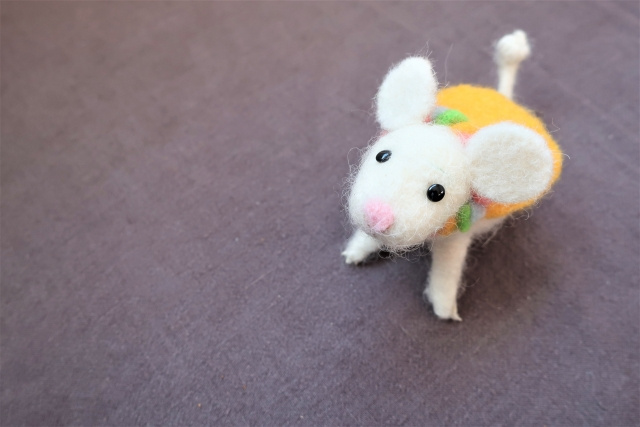 賃貸物件でのネズミの駆除はどうする？費用負担や駆除方法などをご紹介！