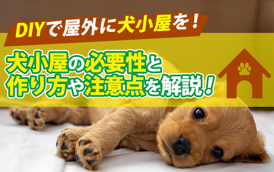 DIYで屋外に犬小屋を！犬小屋の必要性と作り方や注意点を解説！の画像