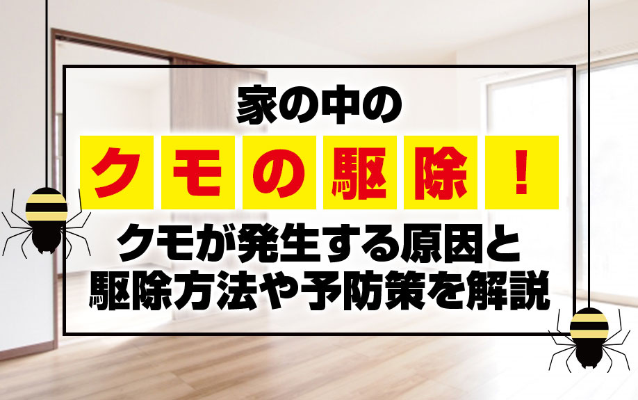 家の中のクモの駆除！クモが発生する原因と駆除方法や予防策を解説の画像