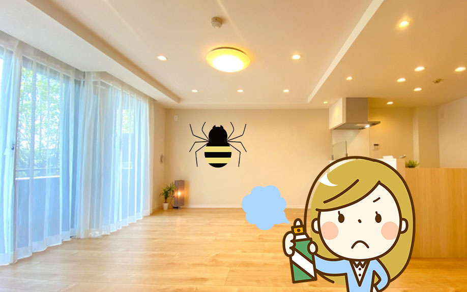 家の中のクモの駆除！クモを侵入させないための予防策