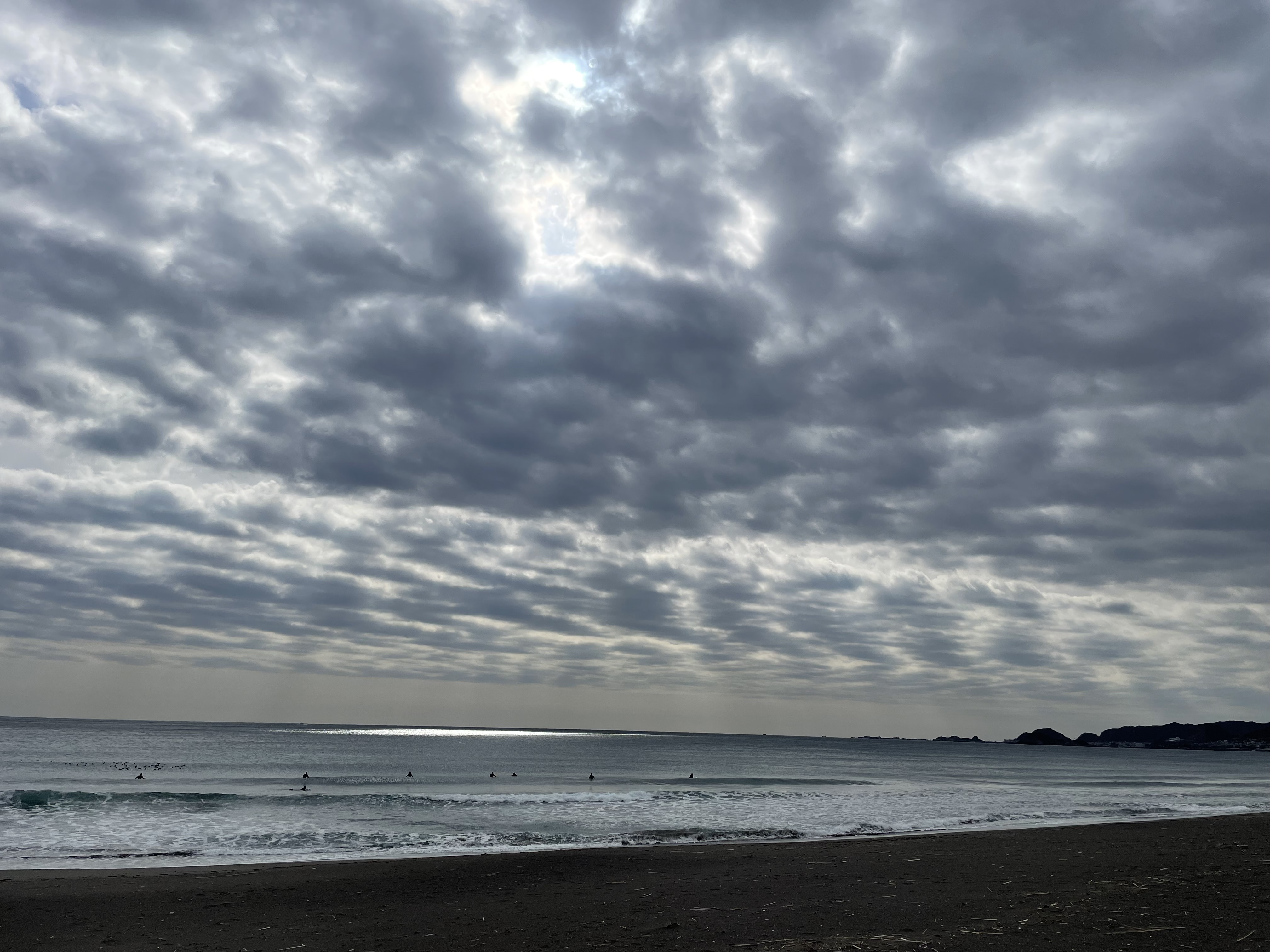 シャチのショーの画像