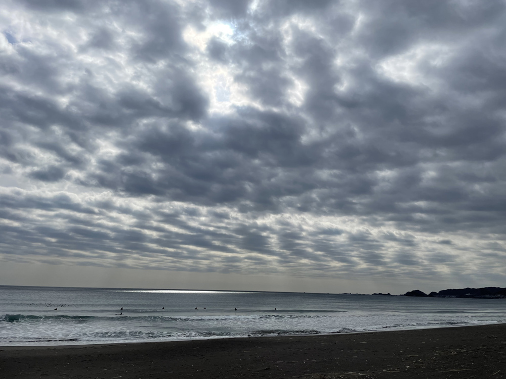 シャチのショーの画像
