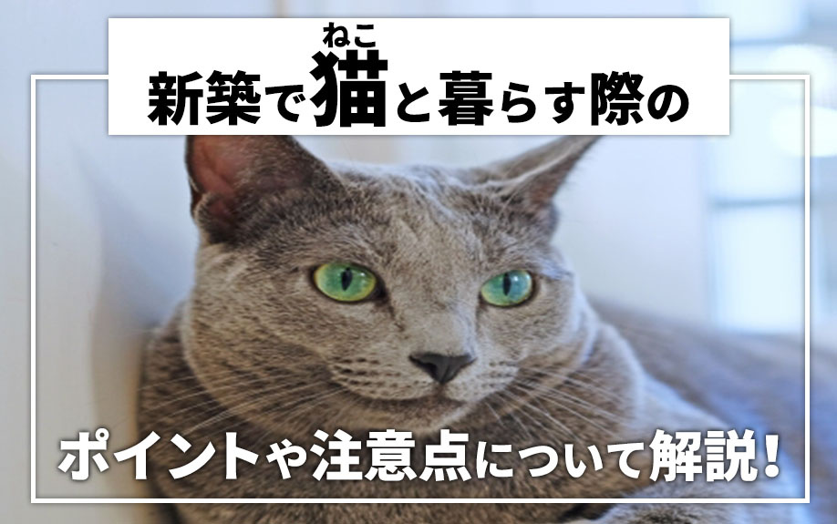 【2023年版】猫と暮らしやすい新築を叶えるポイントとは？おすすめの設備もご紹介の画像