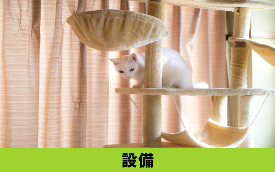 新築で猫と暮らす際に取り入れたい設備