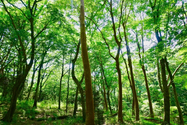 相続しても固定資産税がかからない土地について解説の画像