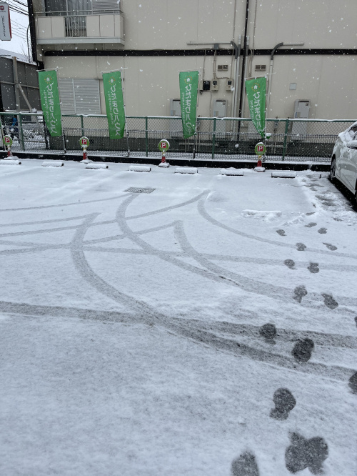 大雪警報の画像