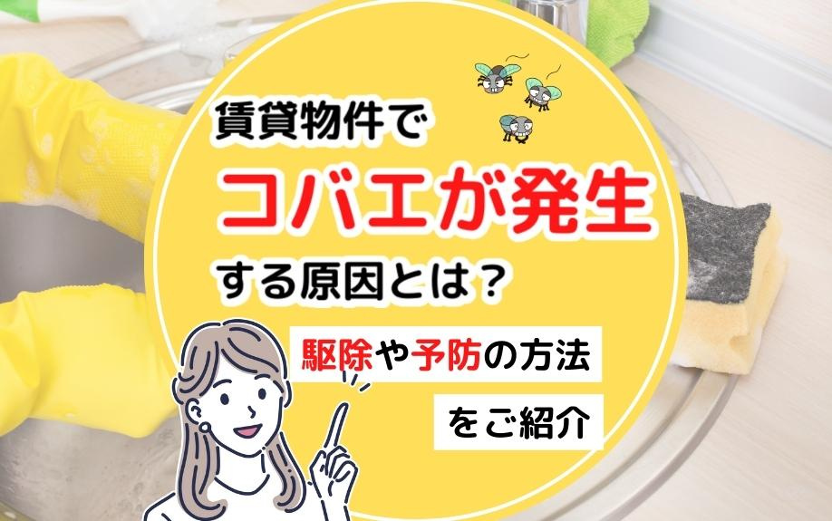 賃貸物件でコバエが発生する原因とは？駆除や予防の方法をご紹介の画像