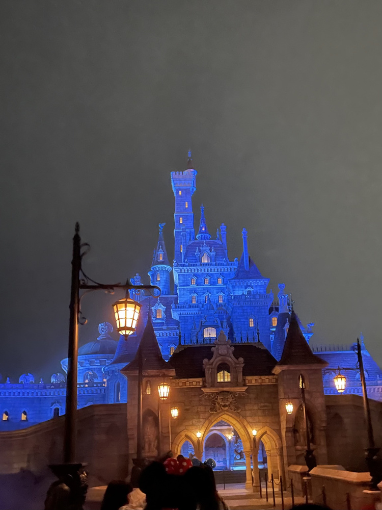ディズニーランド( ｀ー´)ノの画像