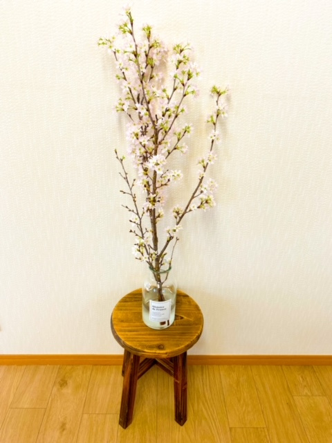 桜が咲きました(^^)/の画像