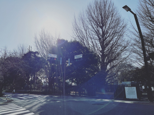 新宿御苑ご紹介の画像