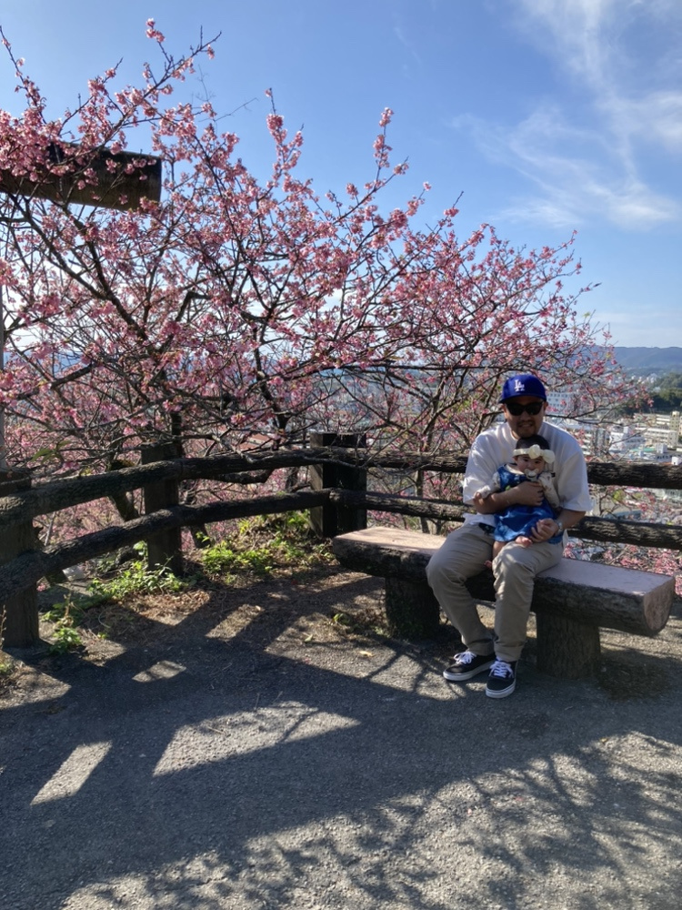 日本一早く咲く桜!!の画像