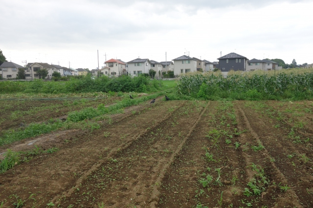 生産緑地の売却はできる？指定の解除方法や注意点をご紹介！の画像