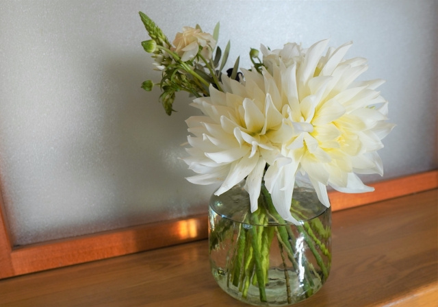 風水における観葉植物の効果とは？おすすめの種類は置き場所をご紹介の画像
