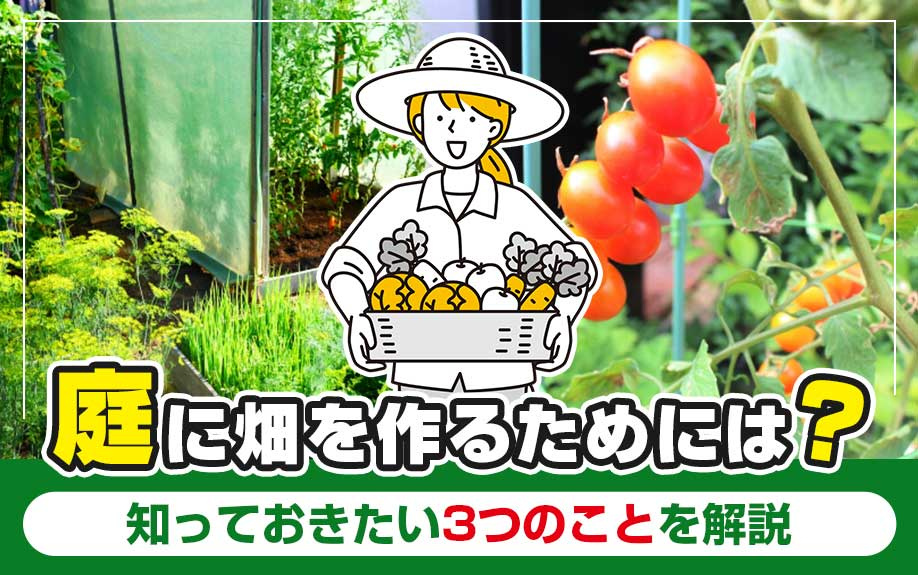 庭に畑を作るためには？知っておきたい3つのことを解説の画像