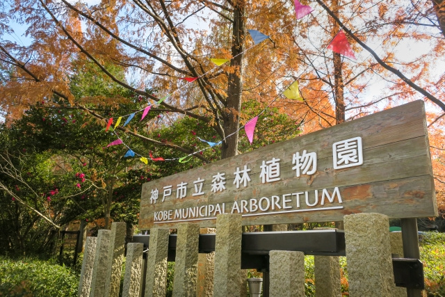 神戸市北区にある神戸市立森林植物園の楽しみ方をご紹介！