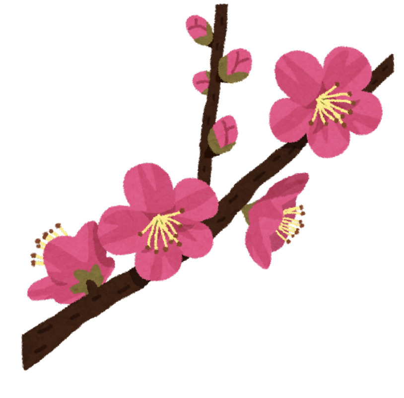 鳥取不動産★ライフエステート　梅の花の画像