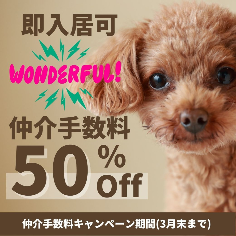 ニャンとワンダフルな物件登場(*//艸//)♡の画像