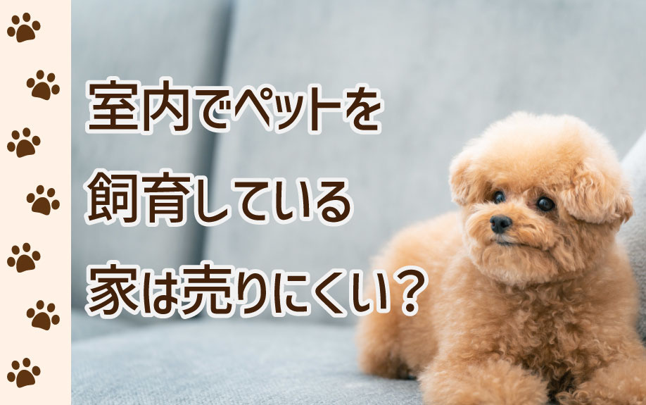 室内でペットを飼育している家は売りにくい？の画像