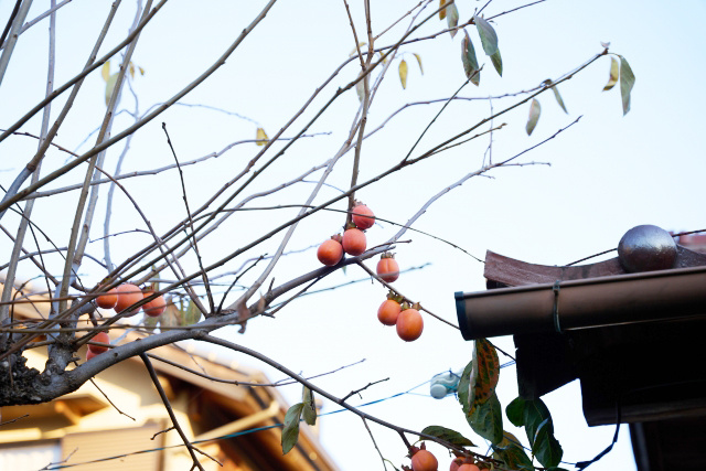 不動産売却したいのに越境していたらどうする？売却するときの注意点や方法