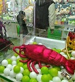 ABの画像