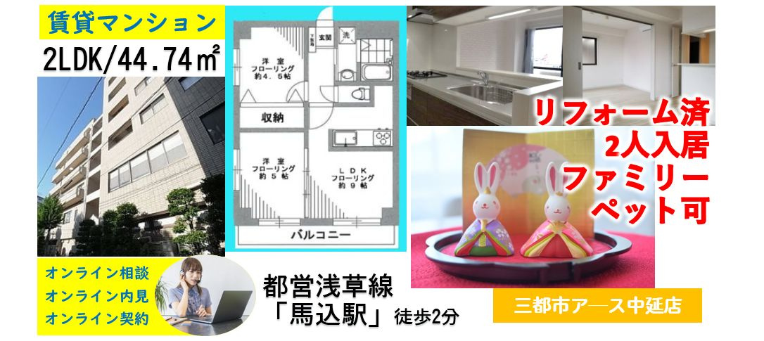 【ゴールドクレスト】