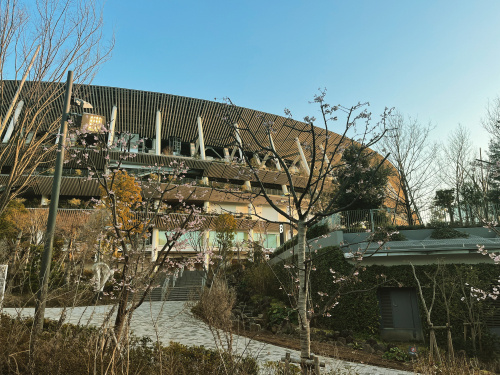 新国立競技場の画像