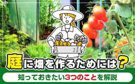 庭に畑を作るためには？の画像