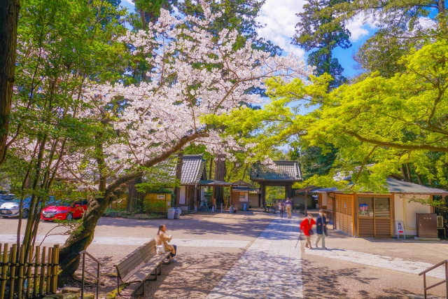 鎌倉市の円覚寺とは？お寺の概要と魅力あふれる見どころをご紹介