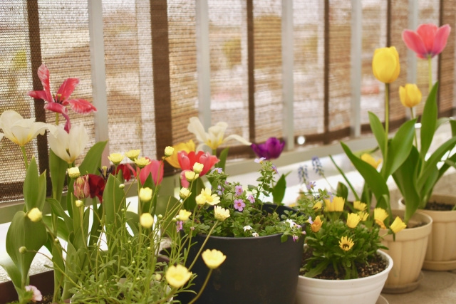 賃貸物件のベランダを目隠しする方法とは？防犯に有効なDIYも紹介