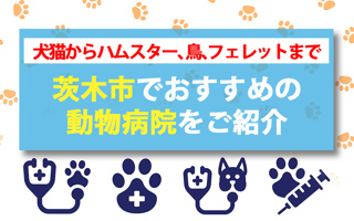 犬猫専門やハムスター・鳥・フェレットまで茨木市でおすすめ動物病院をご紹介の画像