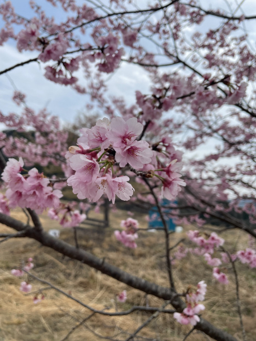 新しい季節の画像