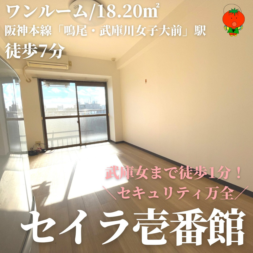 セイラ壱番館-おすすめ物件の画像