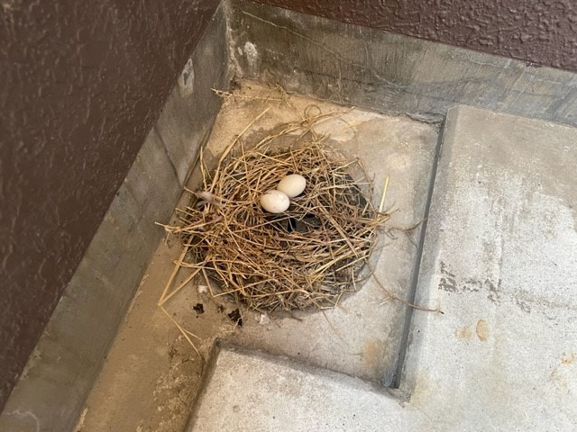 【あま市の不動産売却】家だけどもの画像