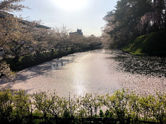 ゴールデンウィーク北海道旅行①の画像