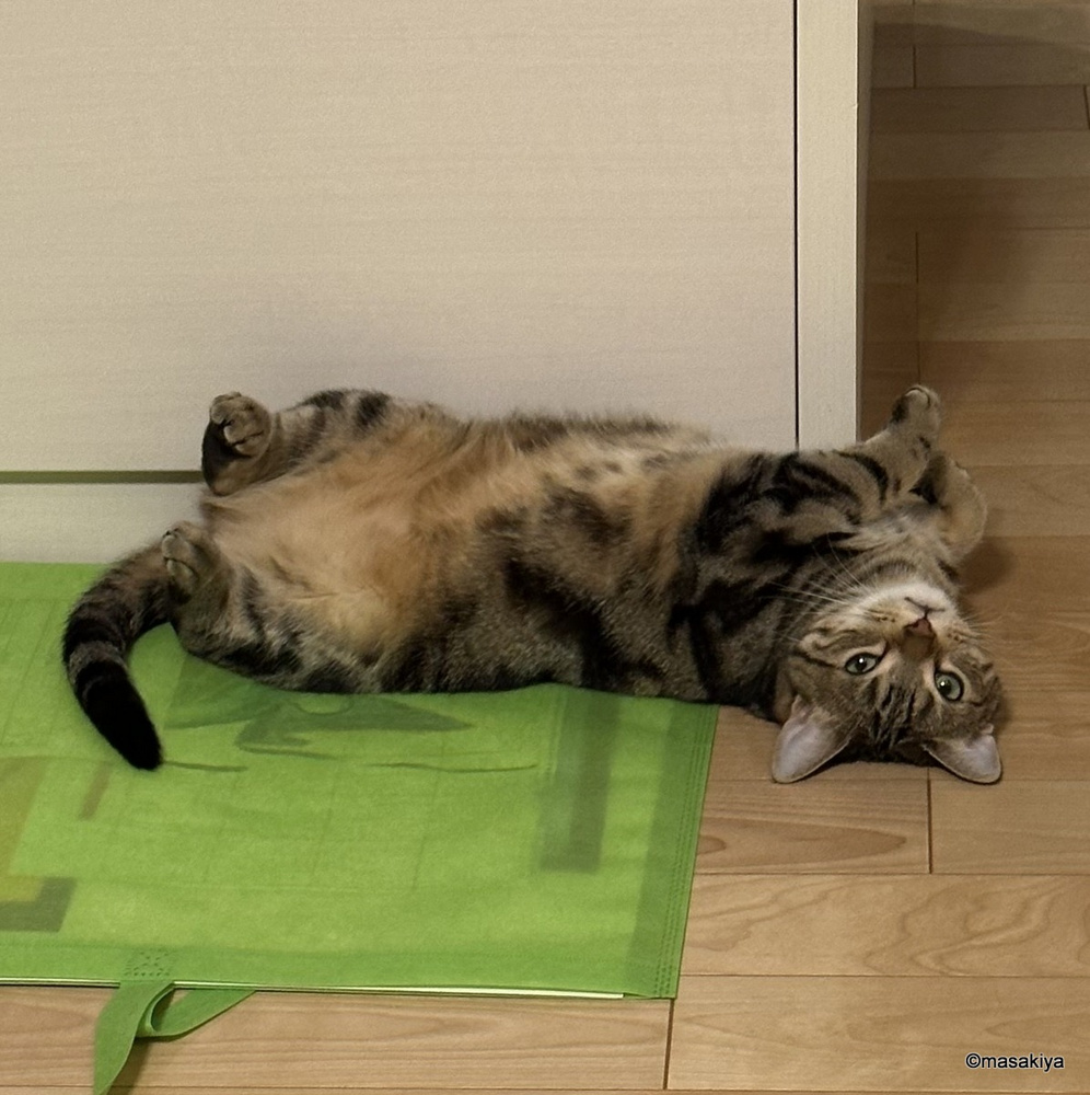 筋肉痛が遅れてやってくるの画像