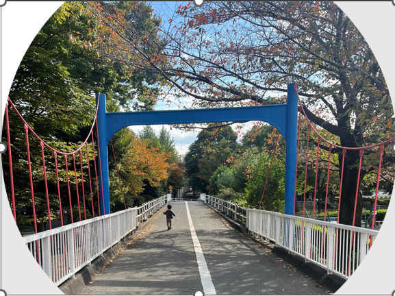 お熱が出ました。。。の画像