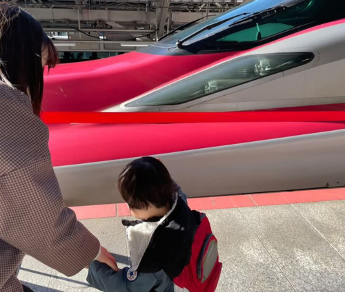 東京駅で新幹線を見てきました！の画像