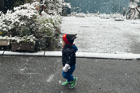 今年も雪が降りましたね～の画像