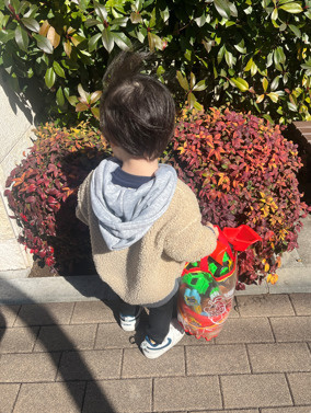 お外で遊びたいいっくんですの画像