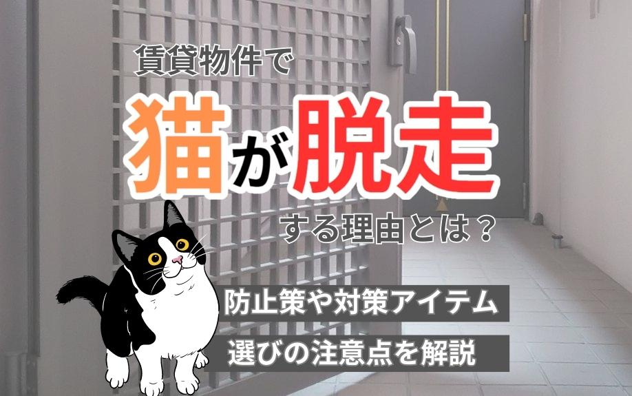 賃貸物件で猫が脱走する理由とは？防止策や対策アイテム選びの注意点を解説