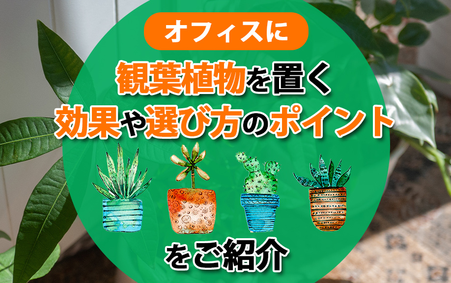オフィスに観葉植物を置く効果や選び方のポイントをご紹介の画像
