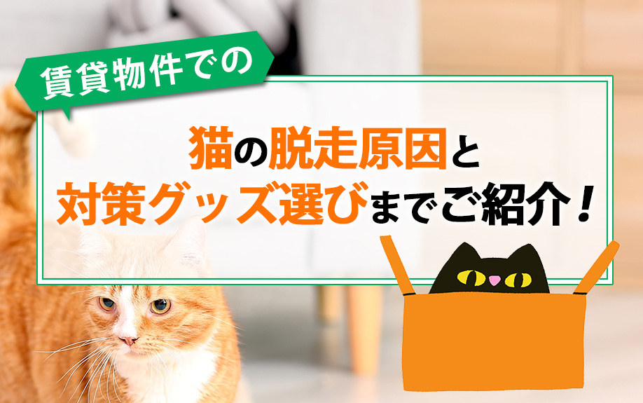 賃貸物件での猫の脱走原因と対策グッズ選びまでご紹介！