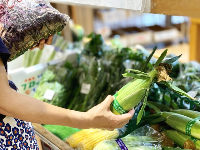 南箕輪村にある「ファーマーズあじ～な」の概要や特徴についてご紹介！の画像