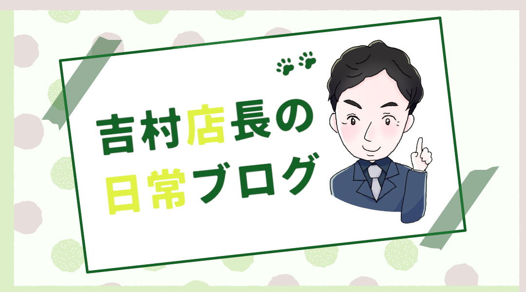 【京都市】全国初の・・・の画像