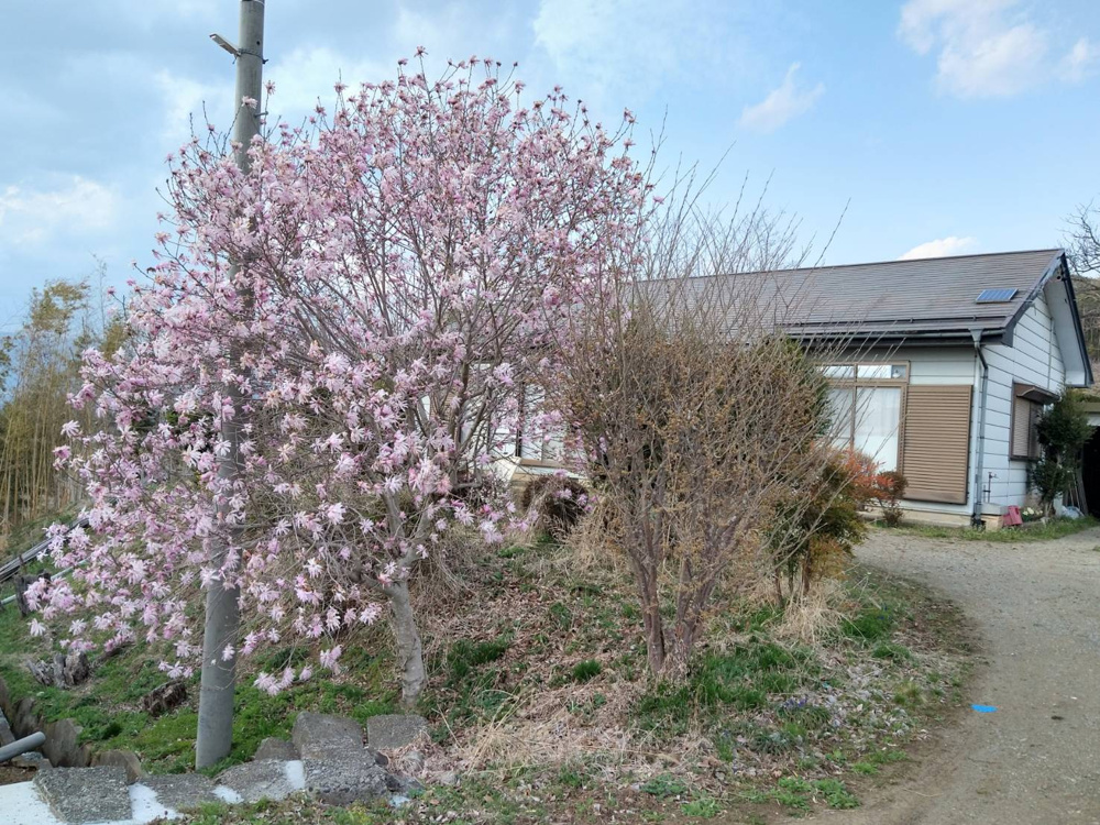 伊那市手良沢岡　中古住宅登場の画像